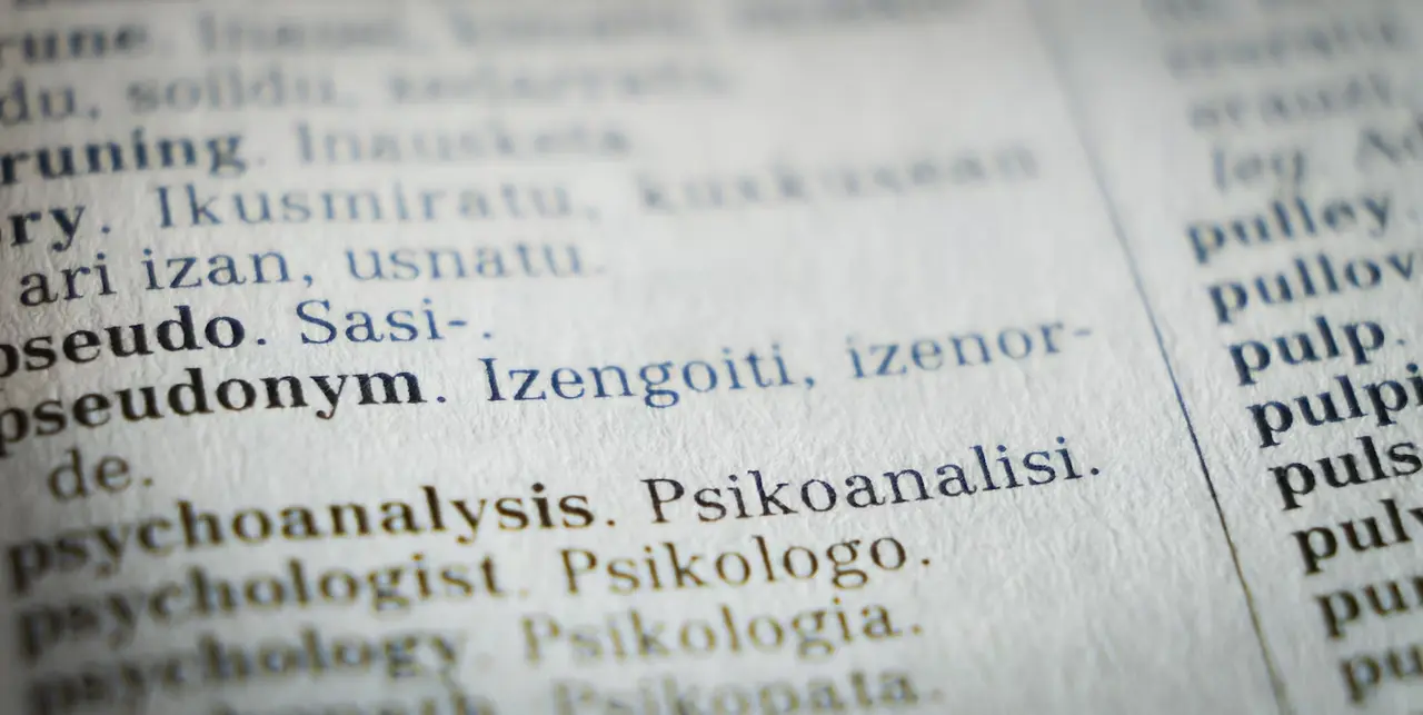 A close-up of a bilingual dictionary page, English on the left and Basque on the right